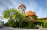 В Лиственничном парке Светлогорска прошёл первый международный онлайн арт-фестиваль