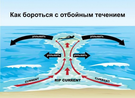 Главное управление МЧС России по Калининградской области призывает население соблюдать правила безопасного поведения на водоемах